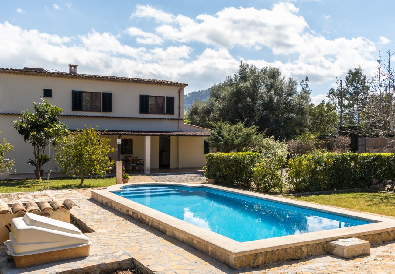 Villa in Pollensa - Villa La Palmera By home villas 360