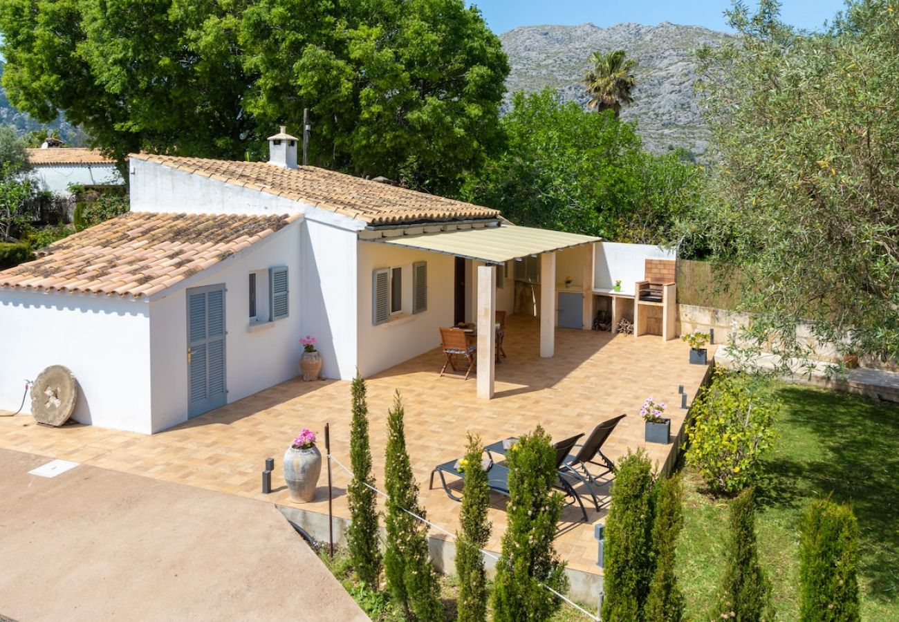 Villa in Pollensa - Villa Les oliveres petit By home villas 360