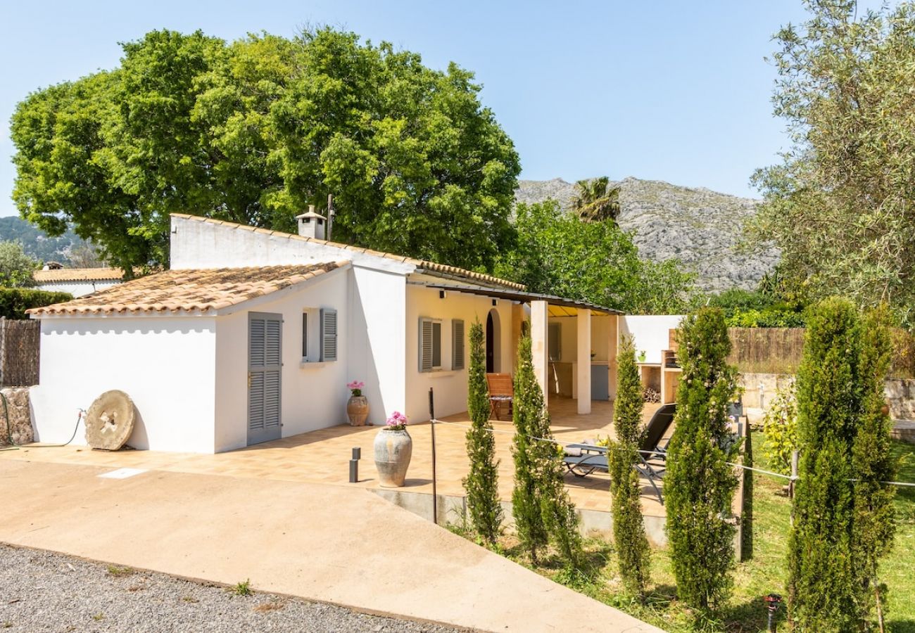 Villa in Pollensa - Villa Les oliveres petit By home villas 360