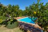 Villa in Pollensa - Villa Can LLobera By home villas 360