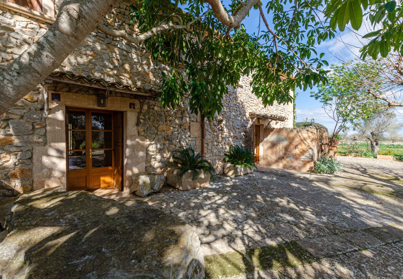 Villa in Petra - YourHouse Son Bosquer