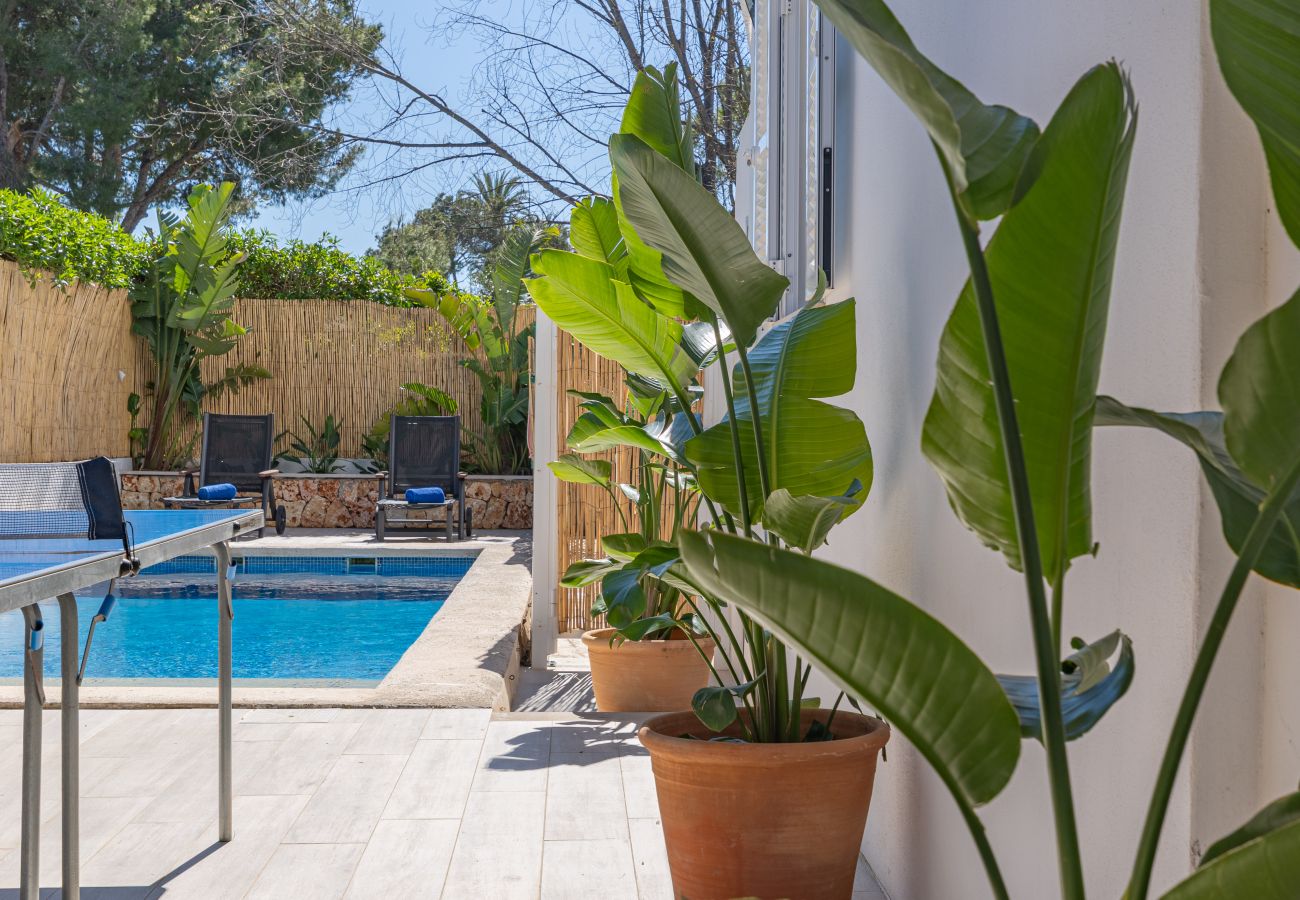 Ferienwohnung in Puerto de Alcudia - A0001 Orquidia