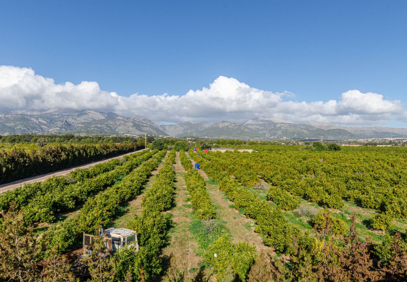 Ferienwohnung in Inca - Agroturismo El Limonar 4, YourHouse