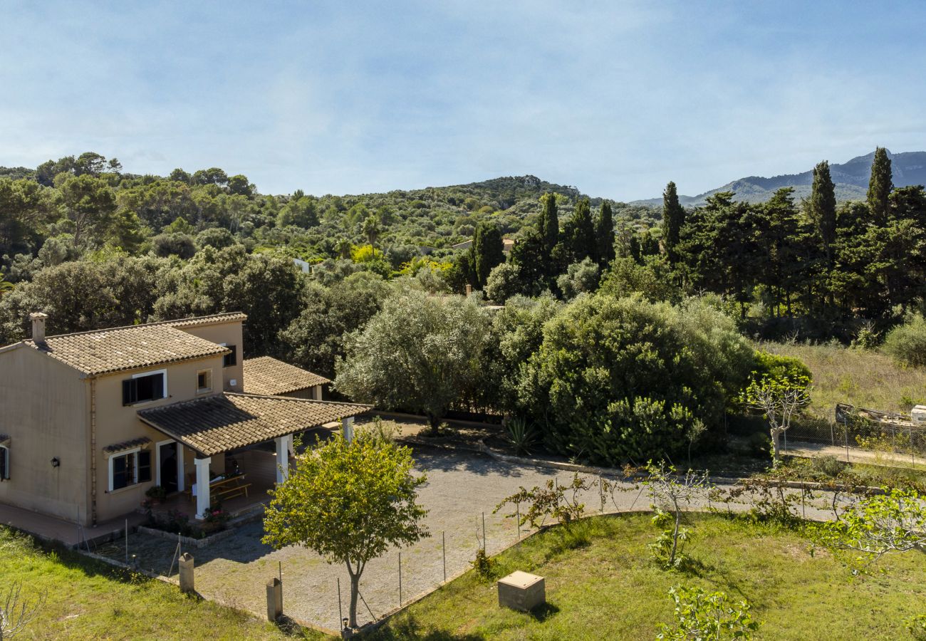 Villa in Pollensa - Villa Seguinot