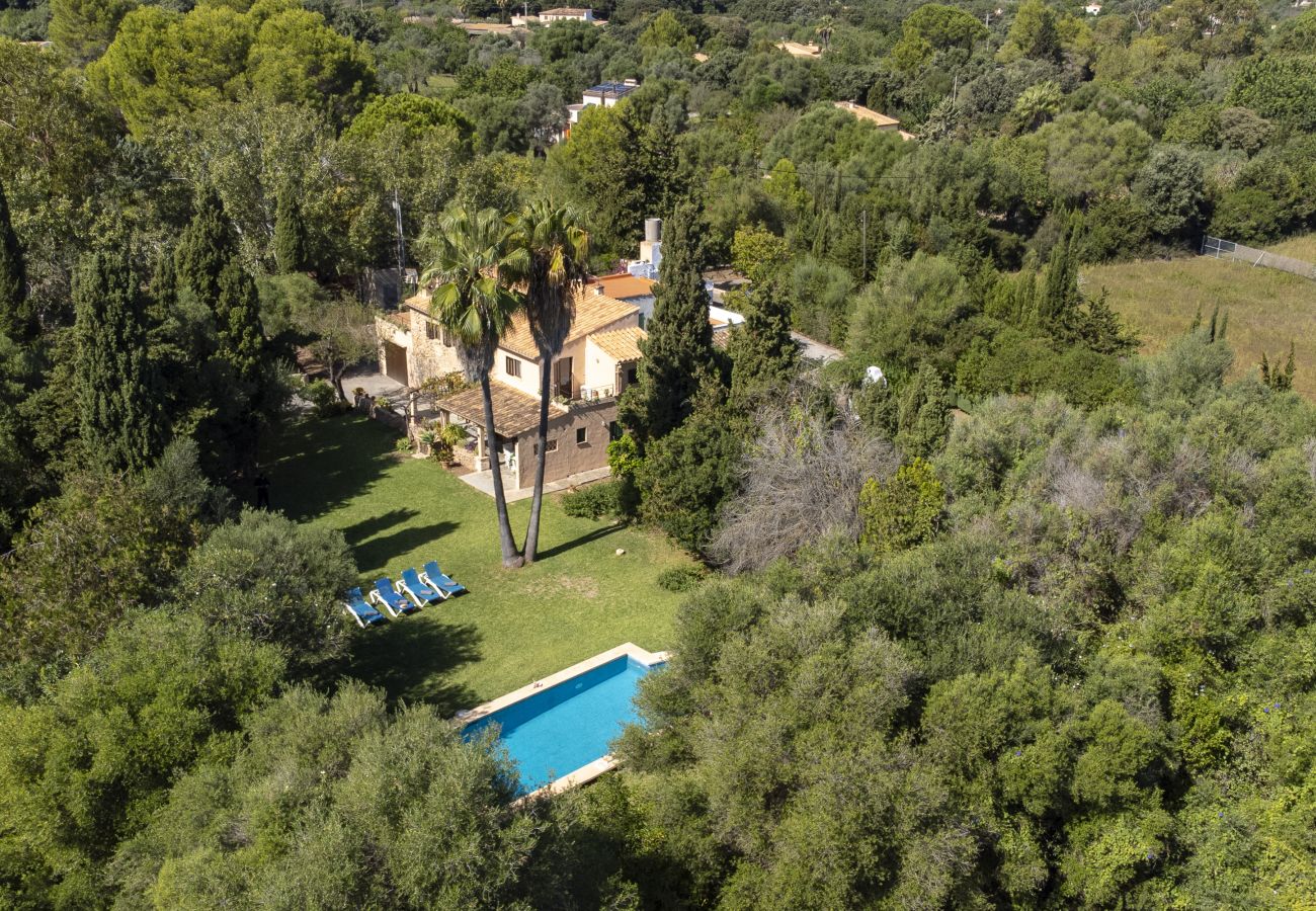 Villa in Pollensa / Pollença - Villa Can Ferrer