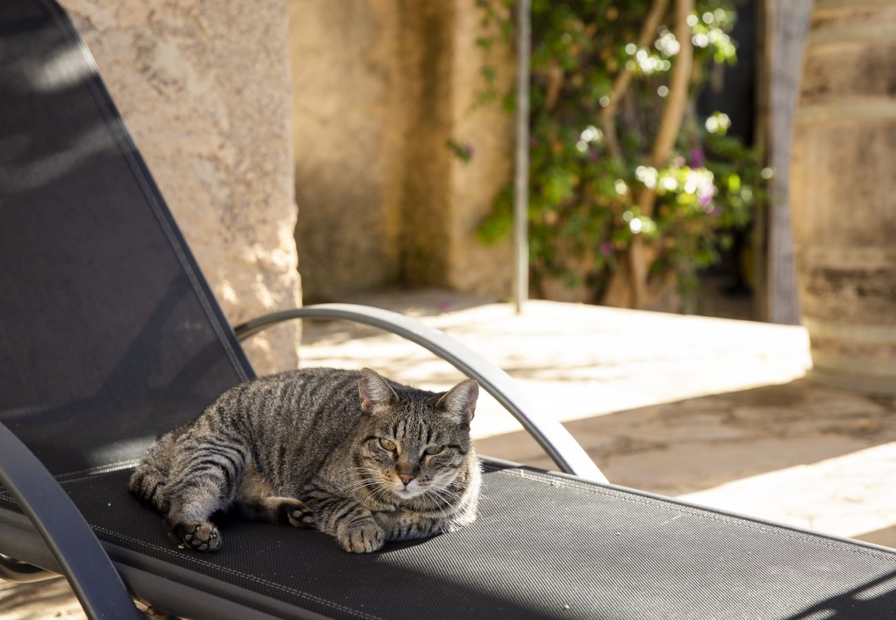 Villa in Felanitx - YourHouse Can Tries