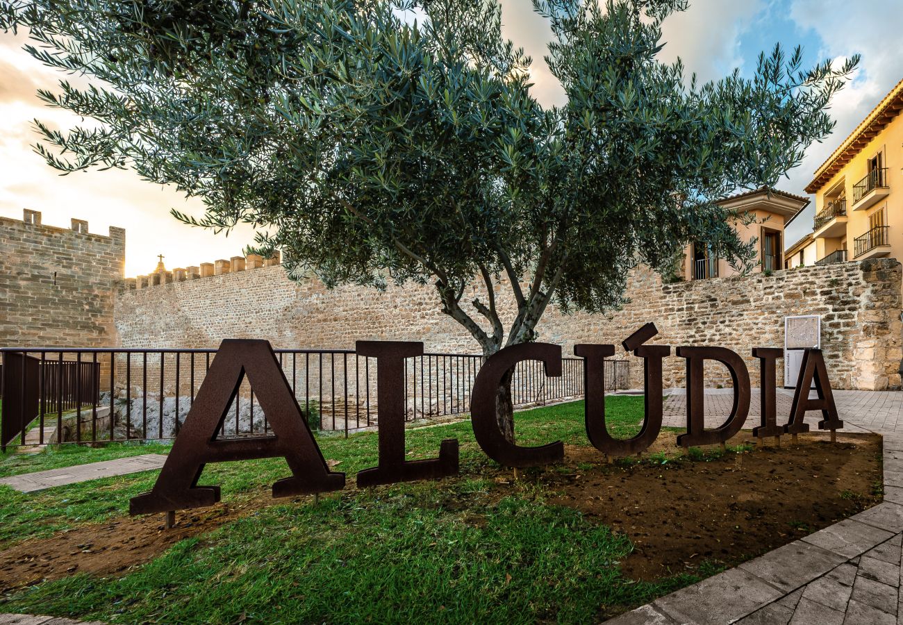 Villa in Alcudia - Villa Sa Portassa By home villas 360