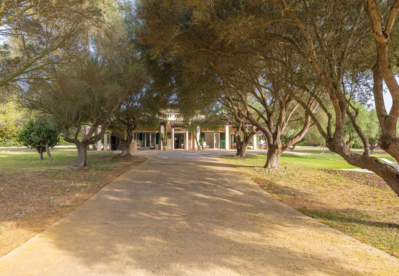 Finca in Can Picafort - A0029 Son Morro