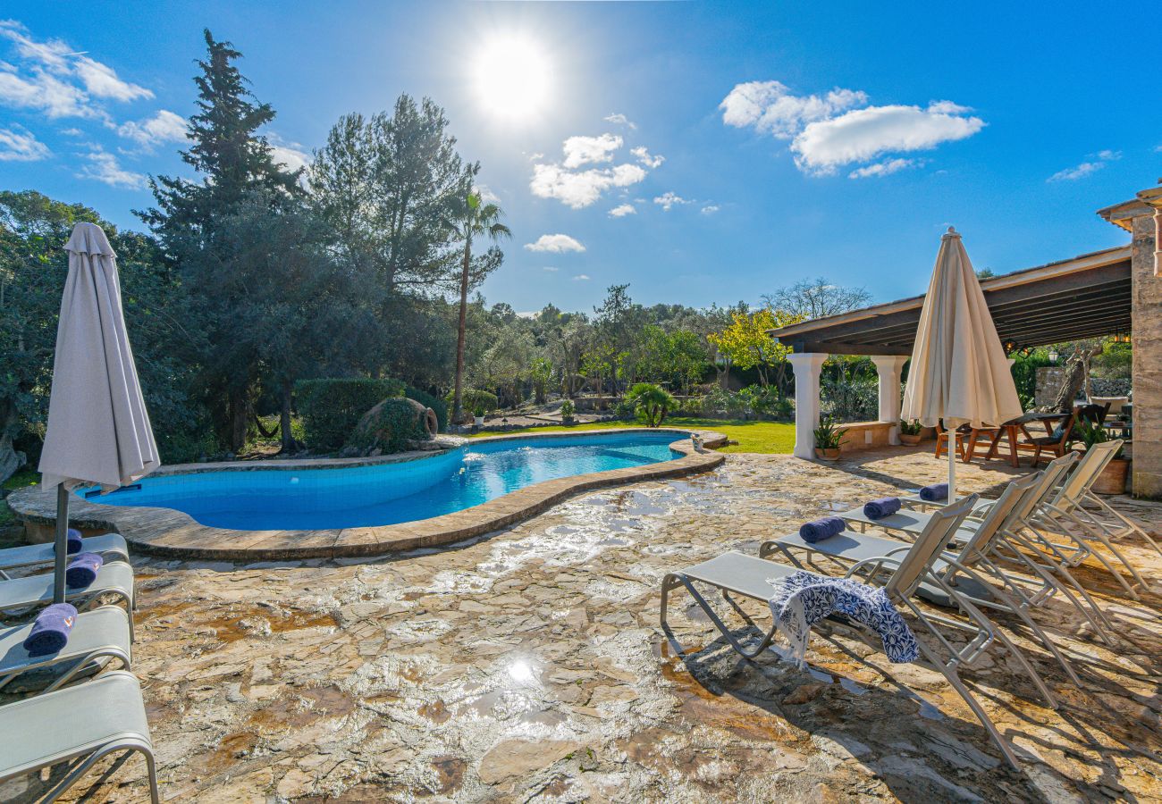 Villa in Alcudia - Villa Roig Petit