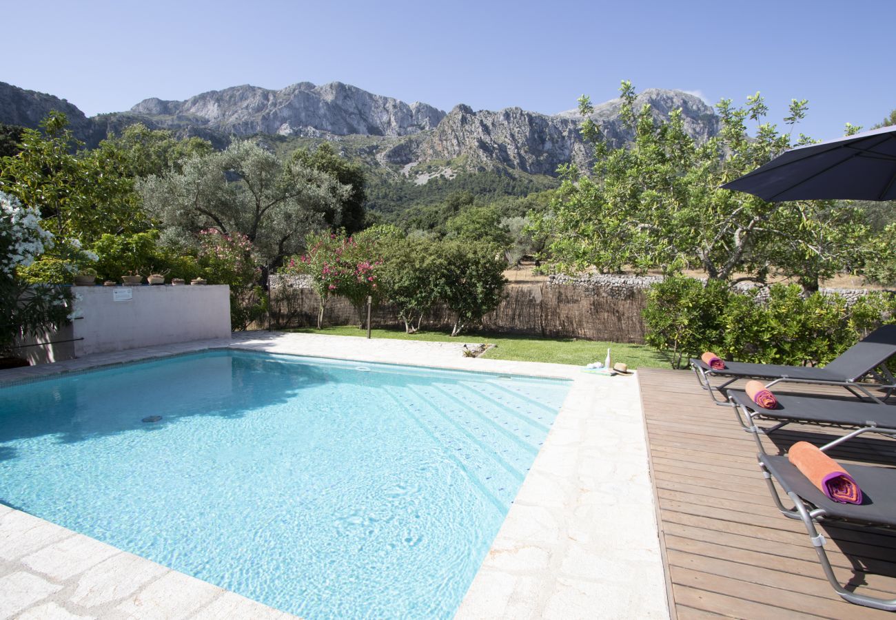 Villa en Pollensa - Villa Sementer del Molinet By home villas 360