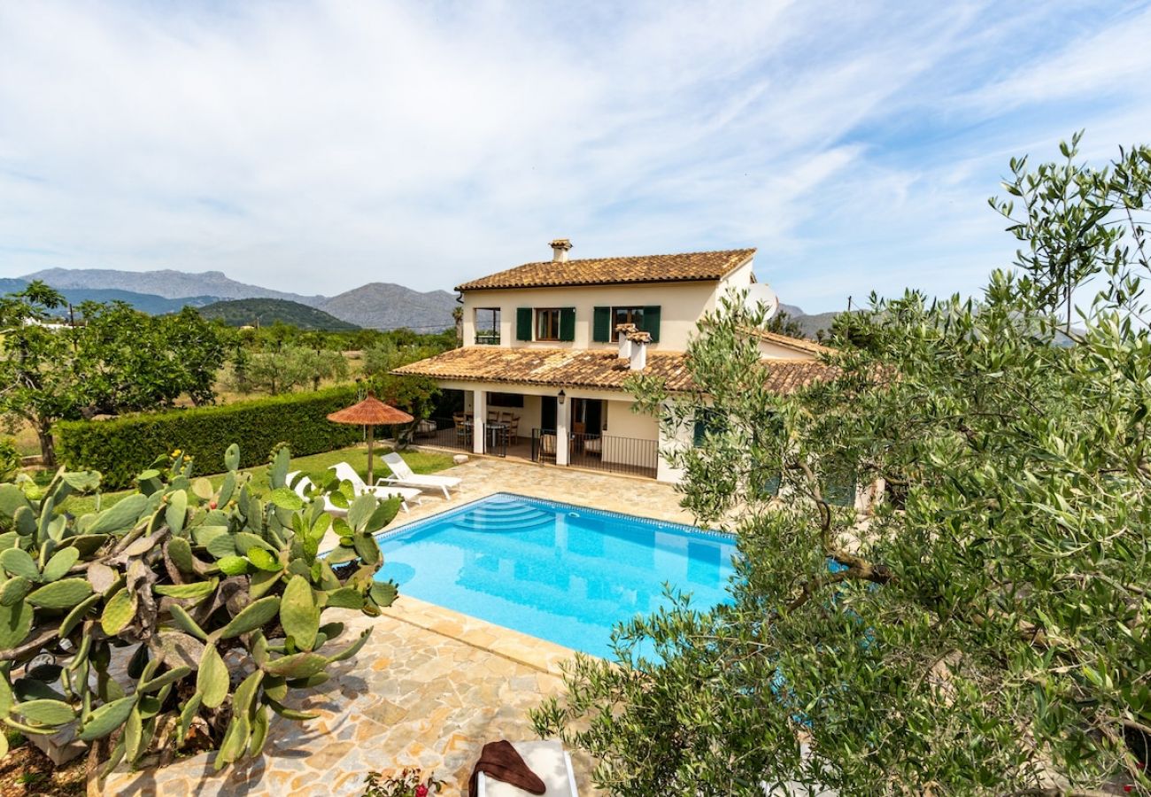 Villa en Pollensa - Villa la Vinya near Pollensa By home villas 360