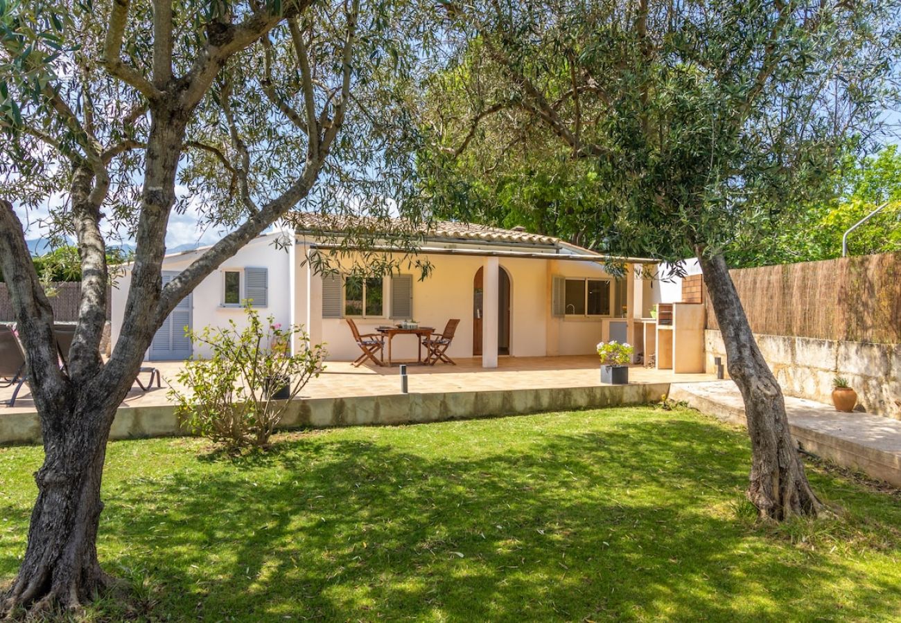 Villa en Pollensa - Villa Les oliveres petit By home villas 360