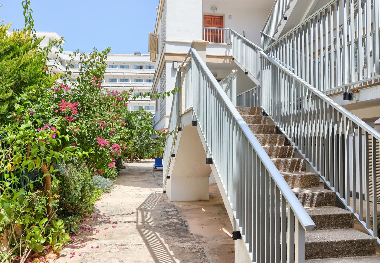 Apartamento en Puerto de Alcudia - A0011 Apartamento Rosa 16