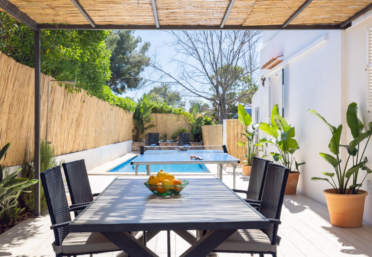 Apartamento en Puerto de Alcudia - A0001 Orquidia