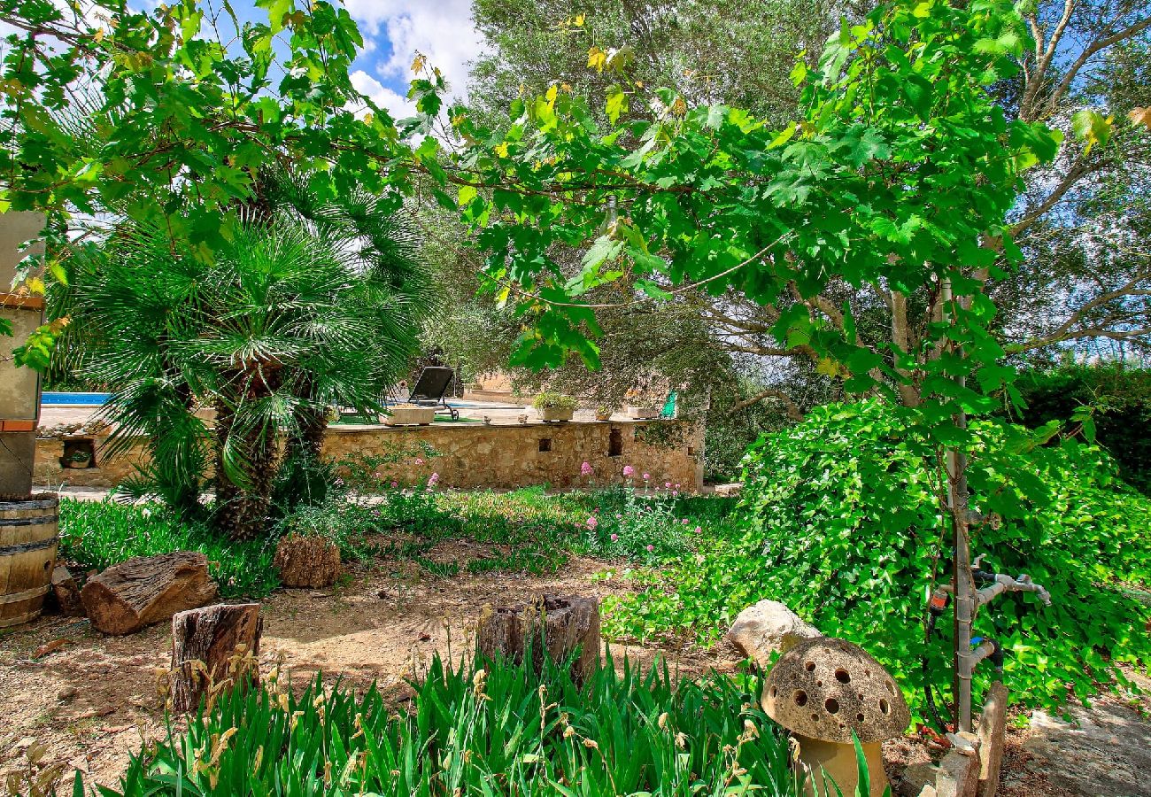 Finca en Manacor - A0003 Can Garbeta