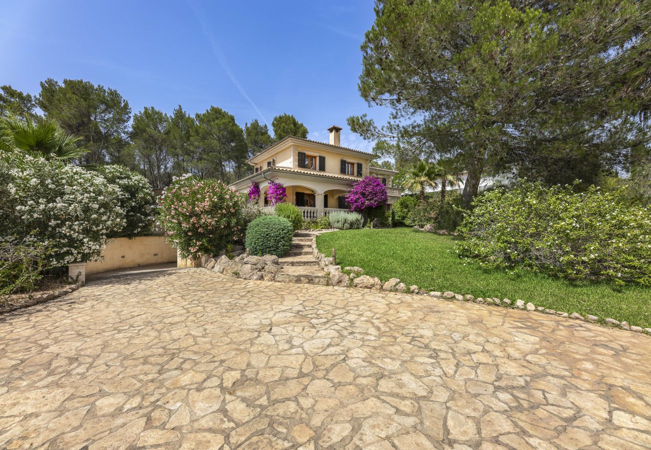 Villa en Sa Pobla - Villa Jacelia