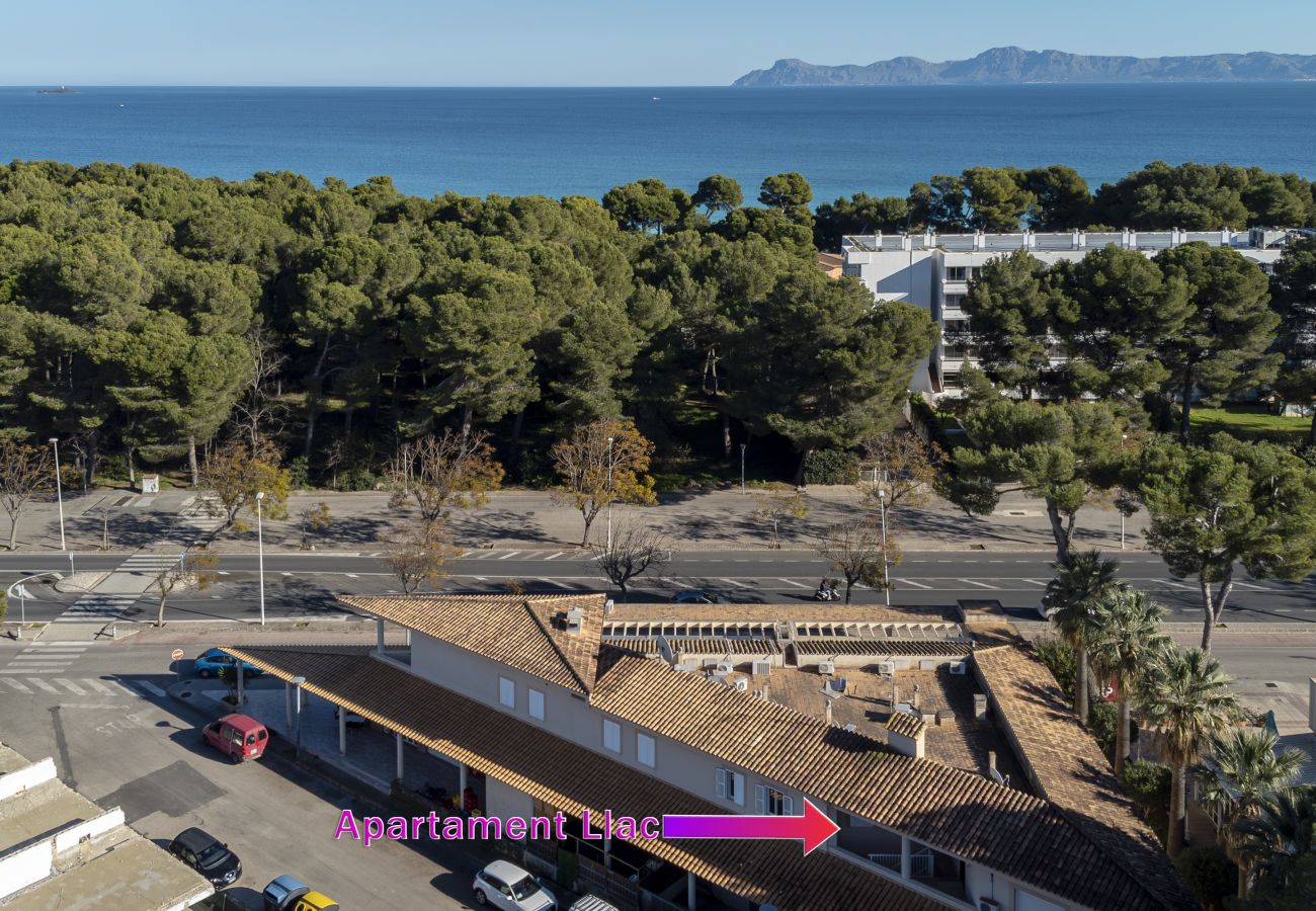 Apartamento en Alcúdia - Apartment Llac by Homevillas360