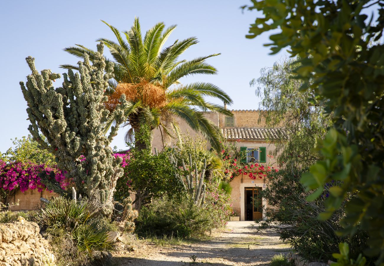 Villa en Felanitx - YourHouse Can Tries