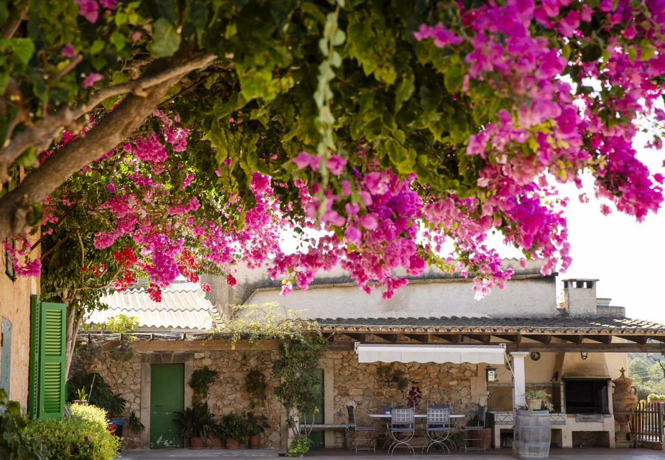 Villa en Felanitx - YourHouse Can Tries