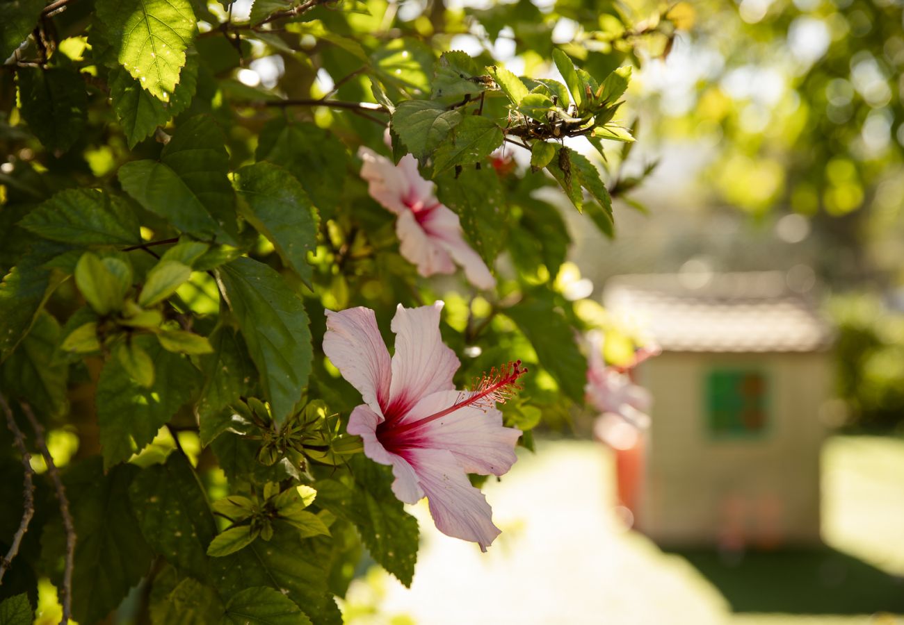 Villa en Felanitx - YourHouse Can Tries