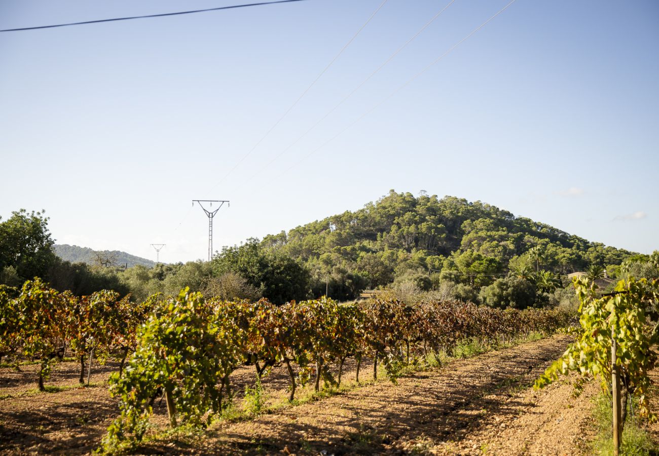 Villa en Felanitx - YourHouse Can Tries