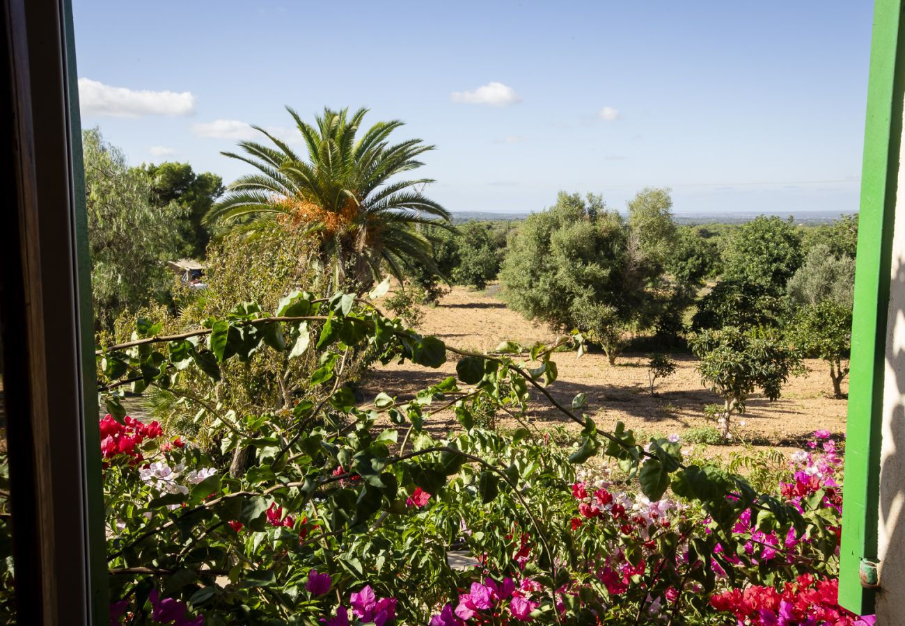 Villa en Felanitx - YourHouse Can Tries