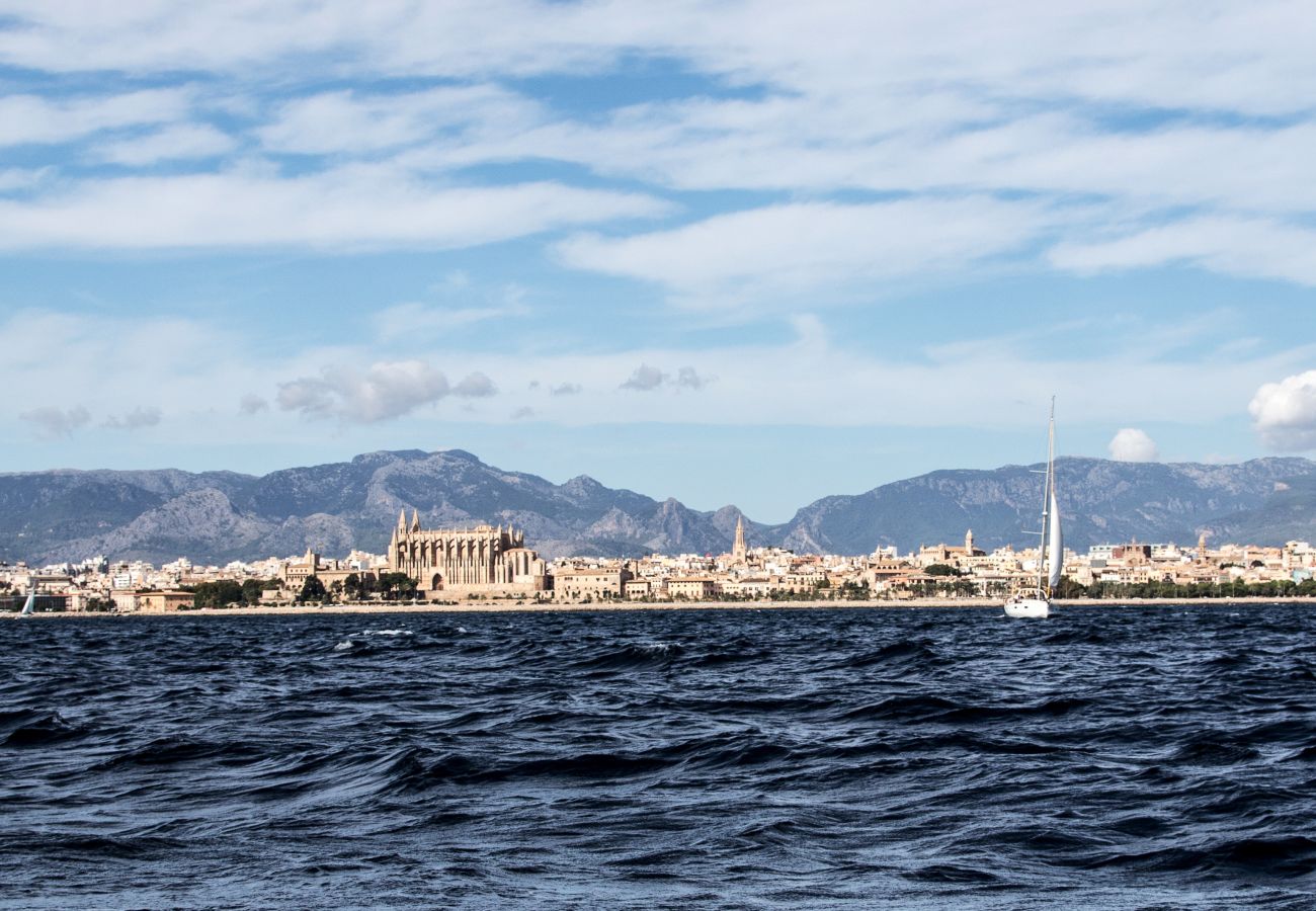 Villa en Felanitx - Villa Sarabo By home villas 360