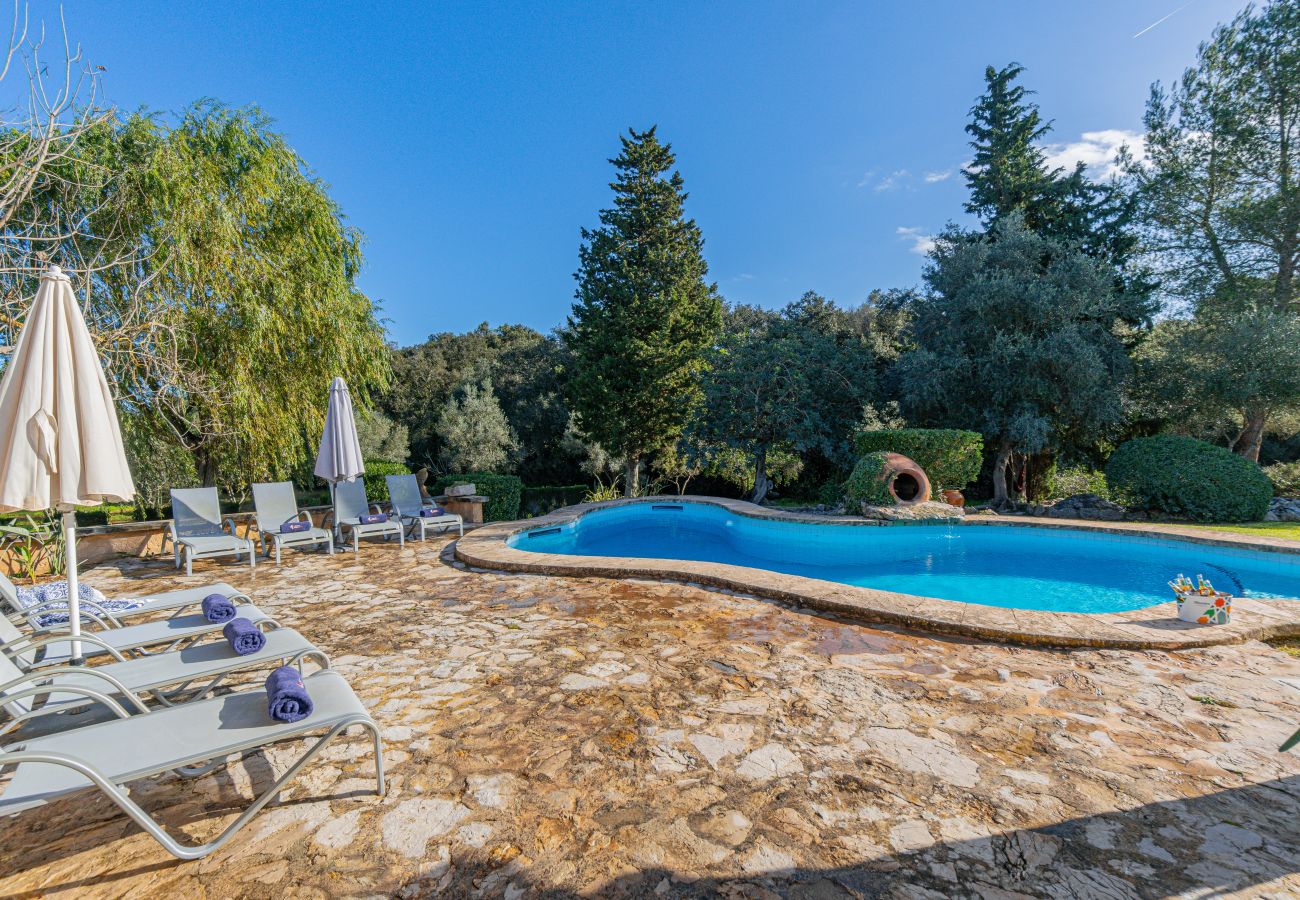 Villa en Alcúdia - Villa Roig Petit