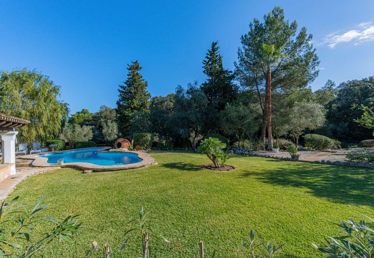 Villa en Alcúdia - Villa Roig Petit