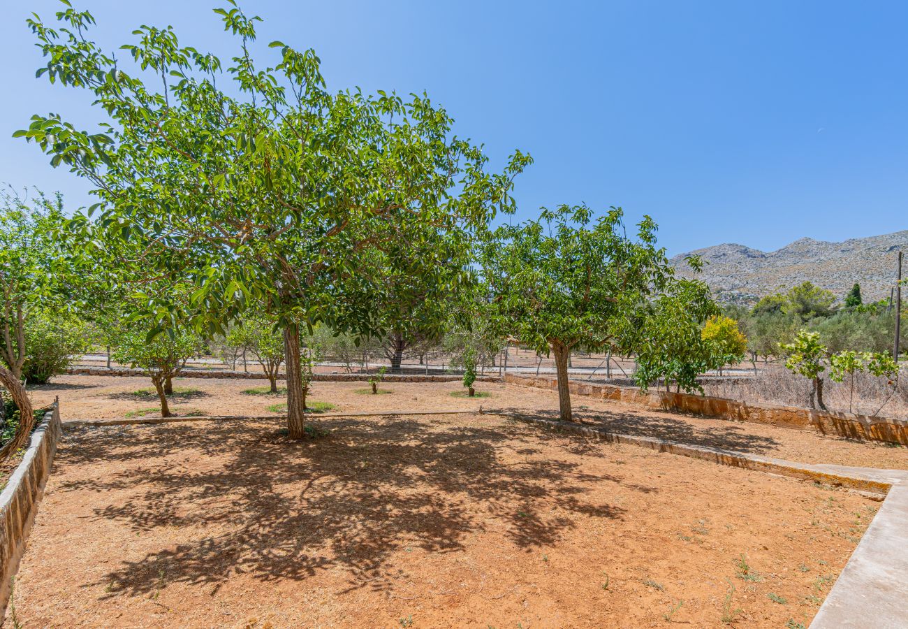 Villa en Pollensa - Villa Can Tirana by Home villas 360