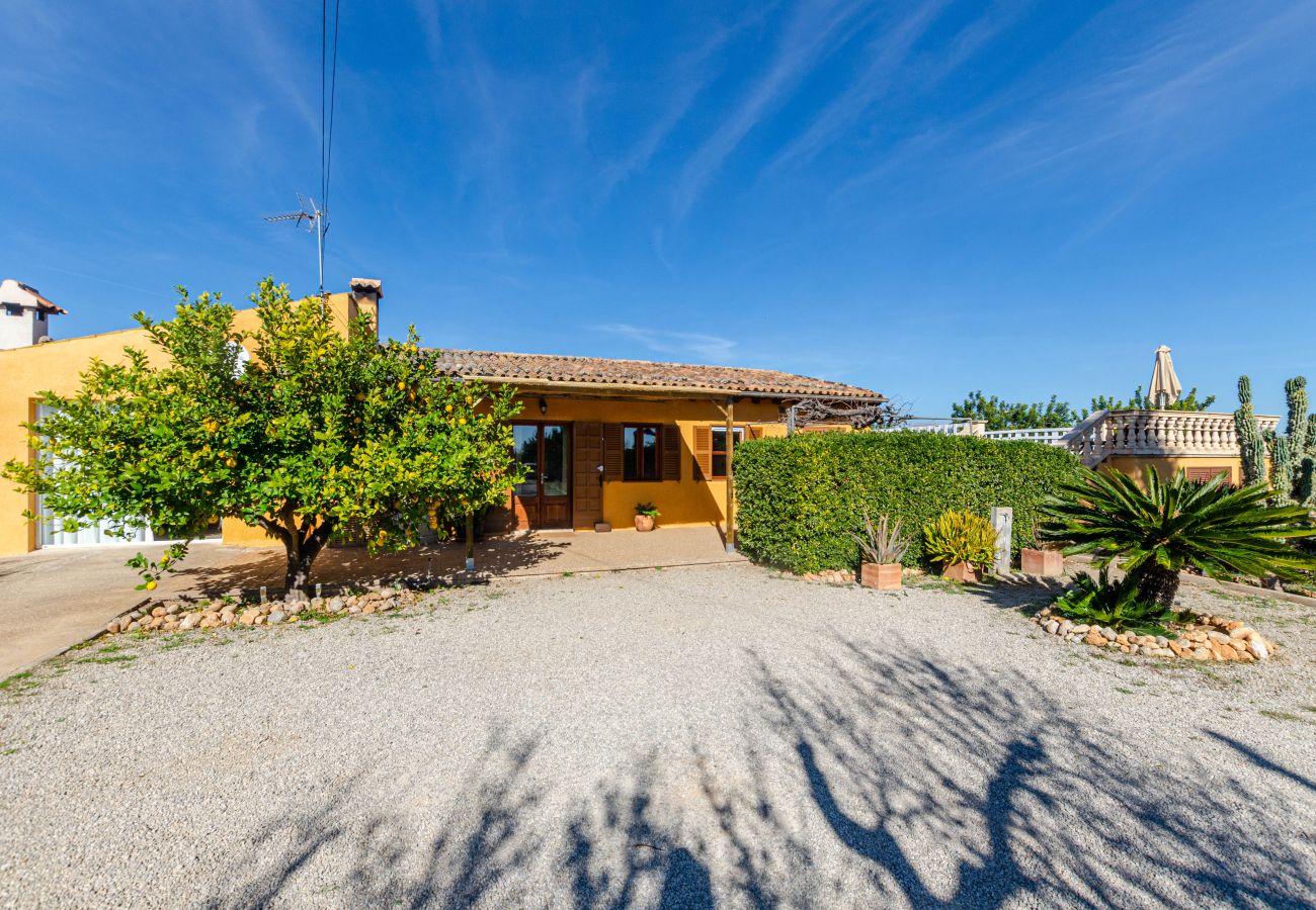 Villa in Lloseta - YourHouse Lemontree