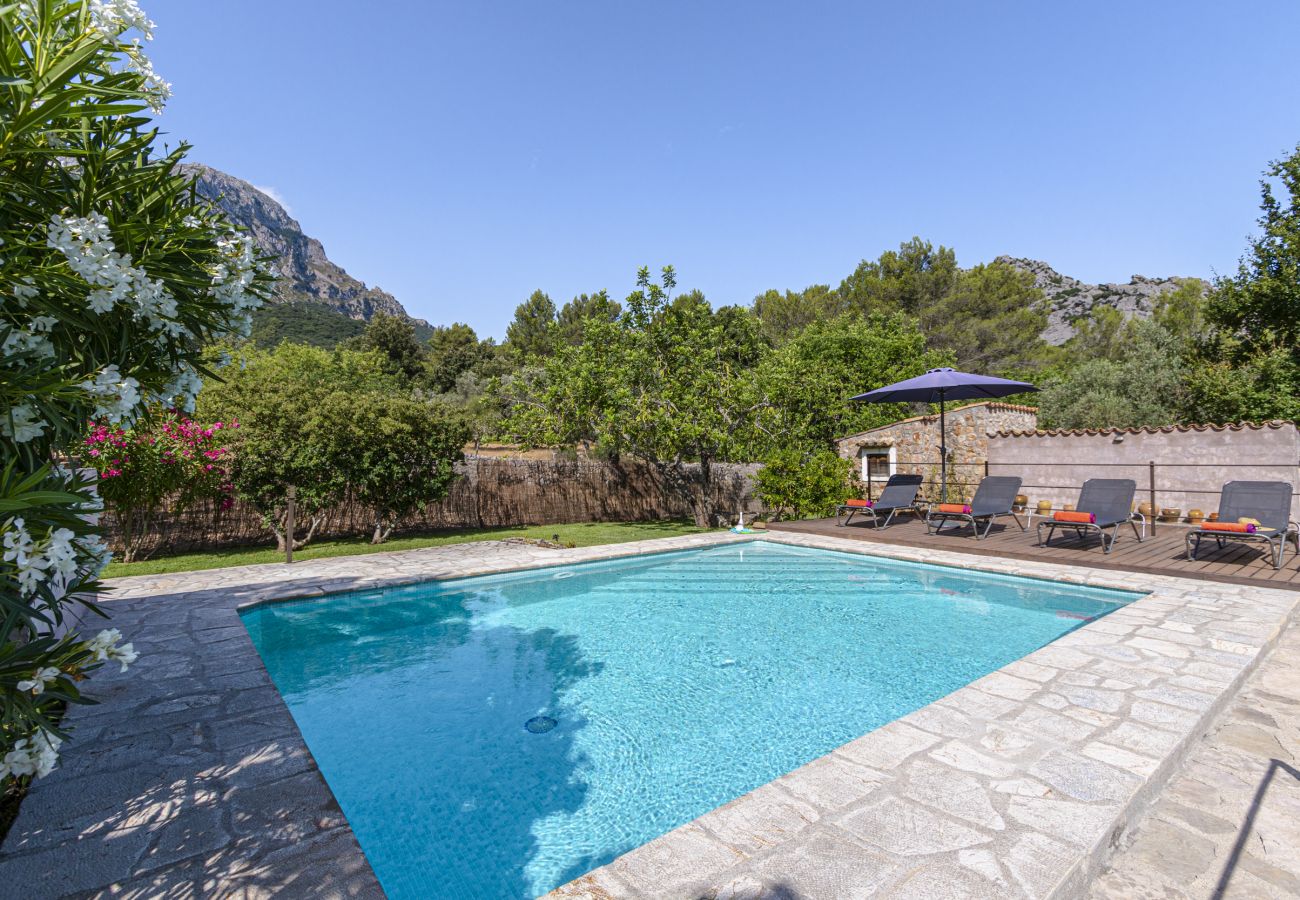 Villa in Pollensa - Villa Sementer del Molinet By home villas 360