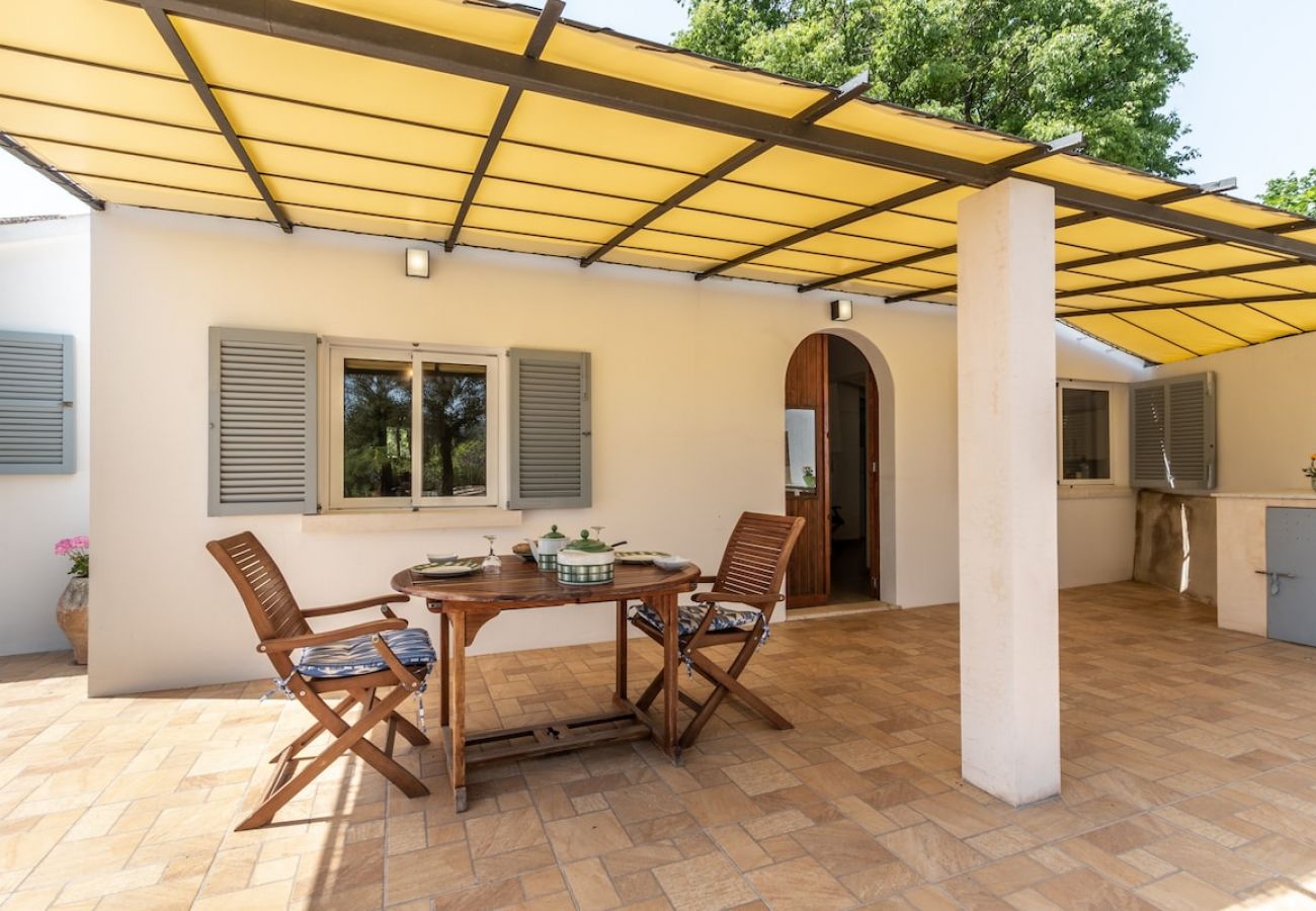 Villa in Pollensa - Villa Les oliveres petit By home villas 360