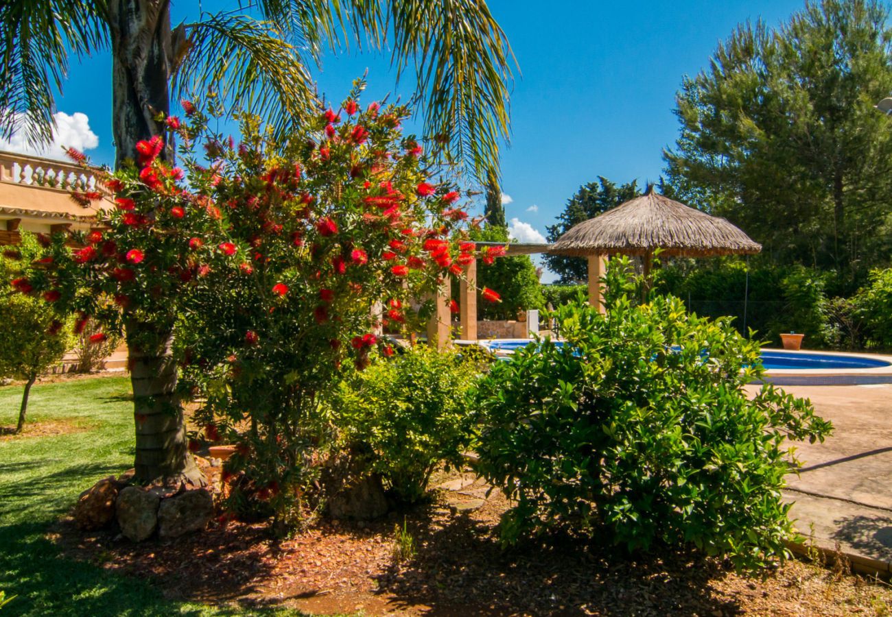 Country house in Muro - A0018 Finca S´Estable