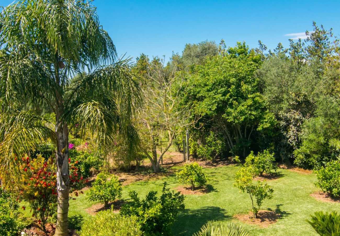 Country house in Muro - A0018 Finca S´Estable