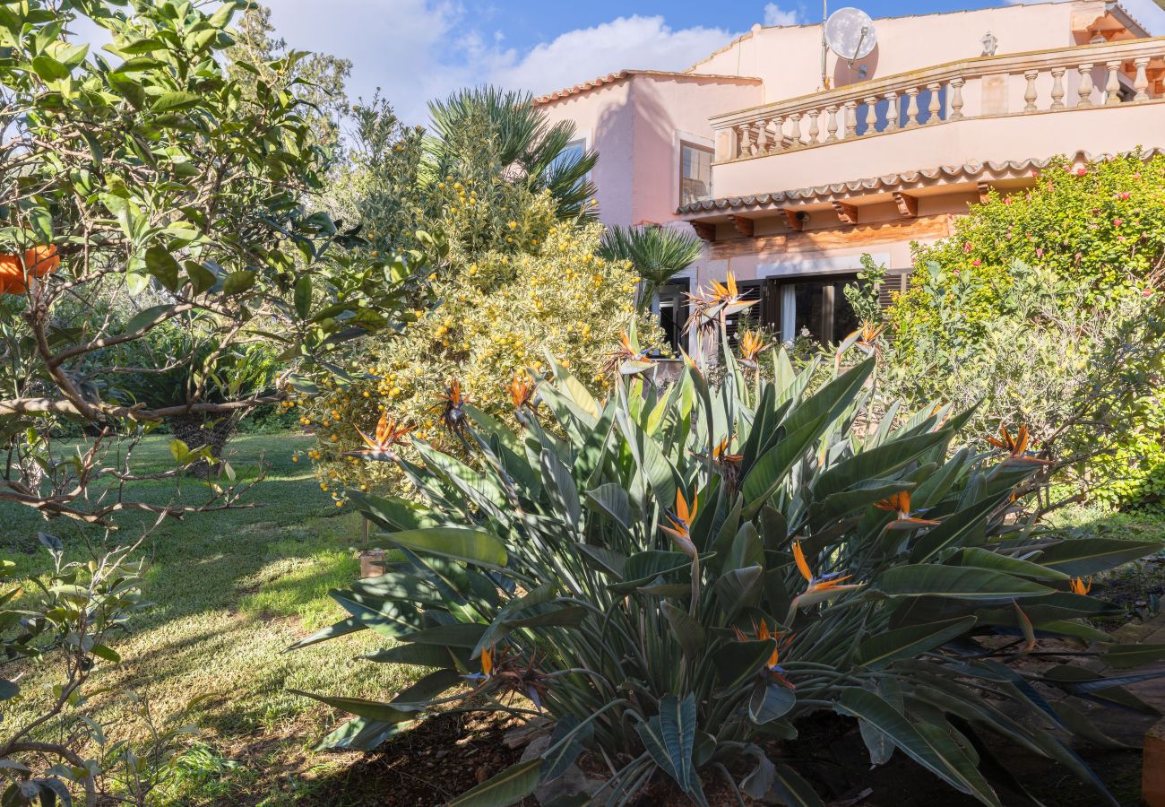 Country house in Muro - A0018 Finca S´Estable