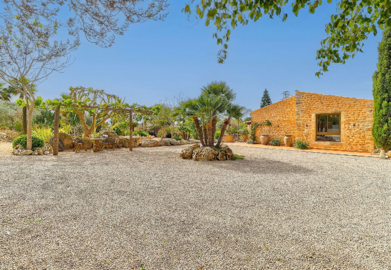 House in Can Picafort - A0004 Petit Bijouc