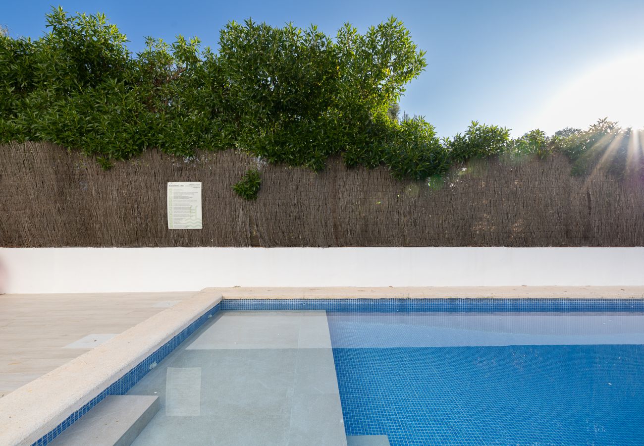 Apartment in Puerto de Alcudia - A0001 Orquidia