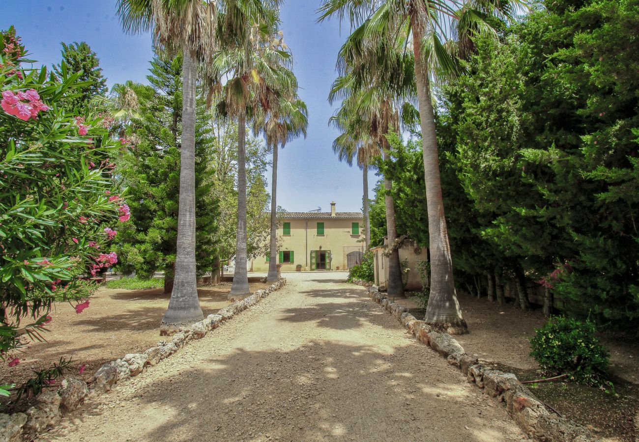 Country house in Vilafranca de Bonany - A0007 Finca la Finquita