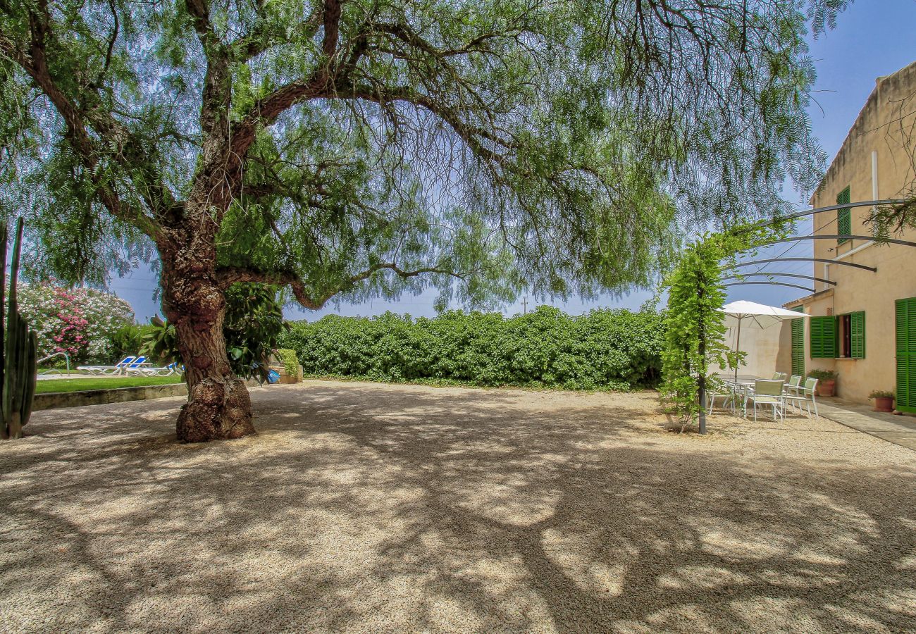 Country house in Vilafranca de Bonany - A0007 Finca la Finquita