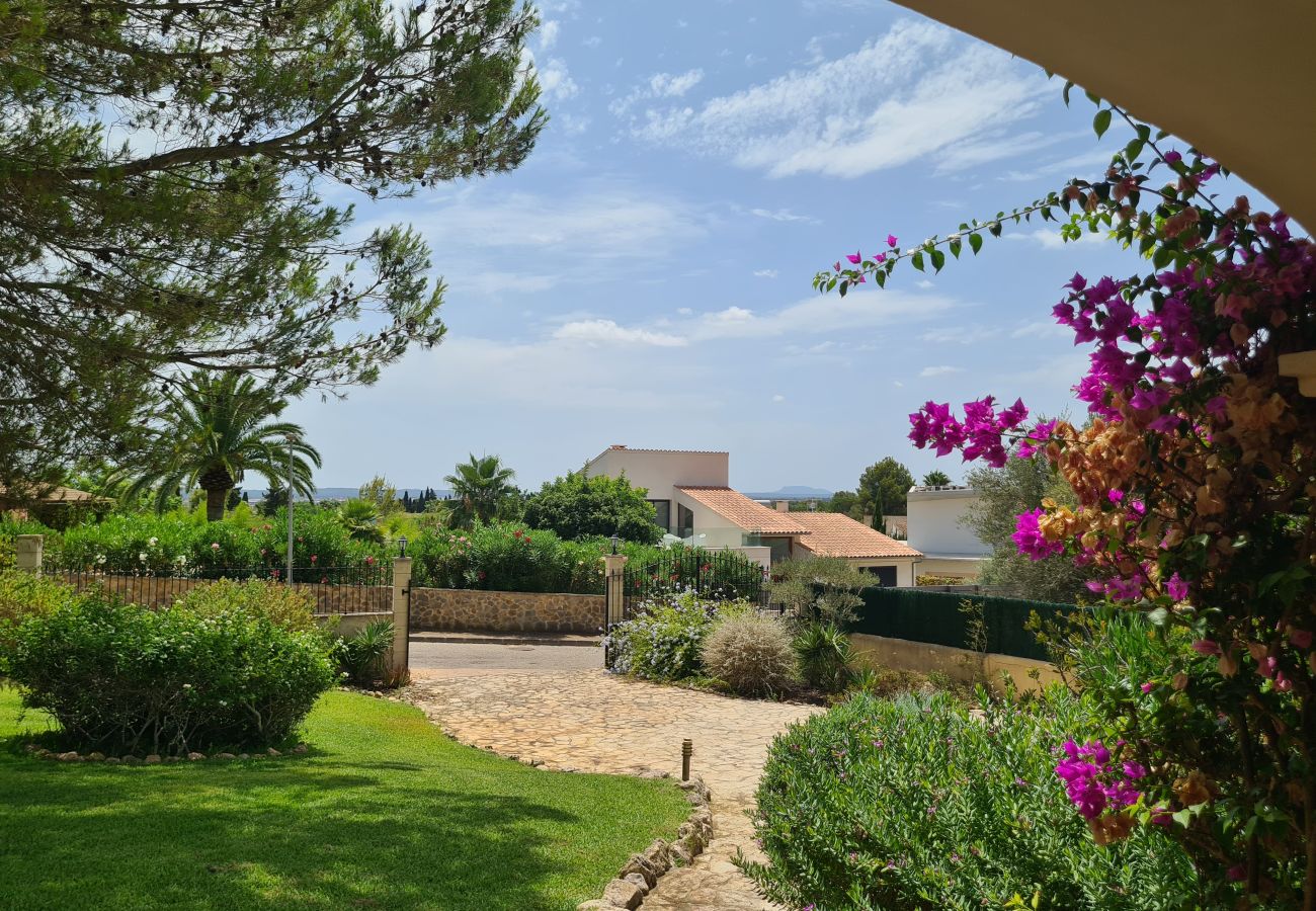 Villa in Sa Pobla - Villa Jacelia