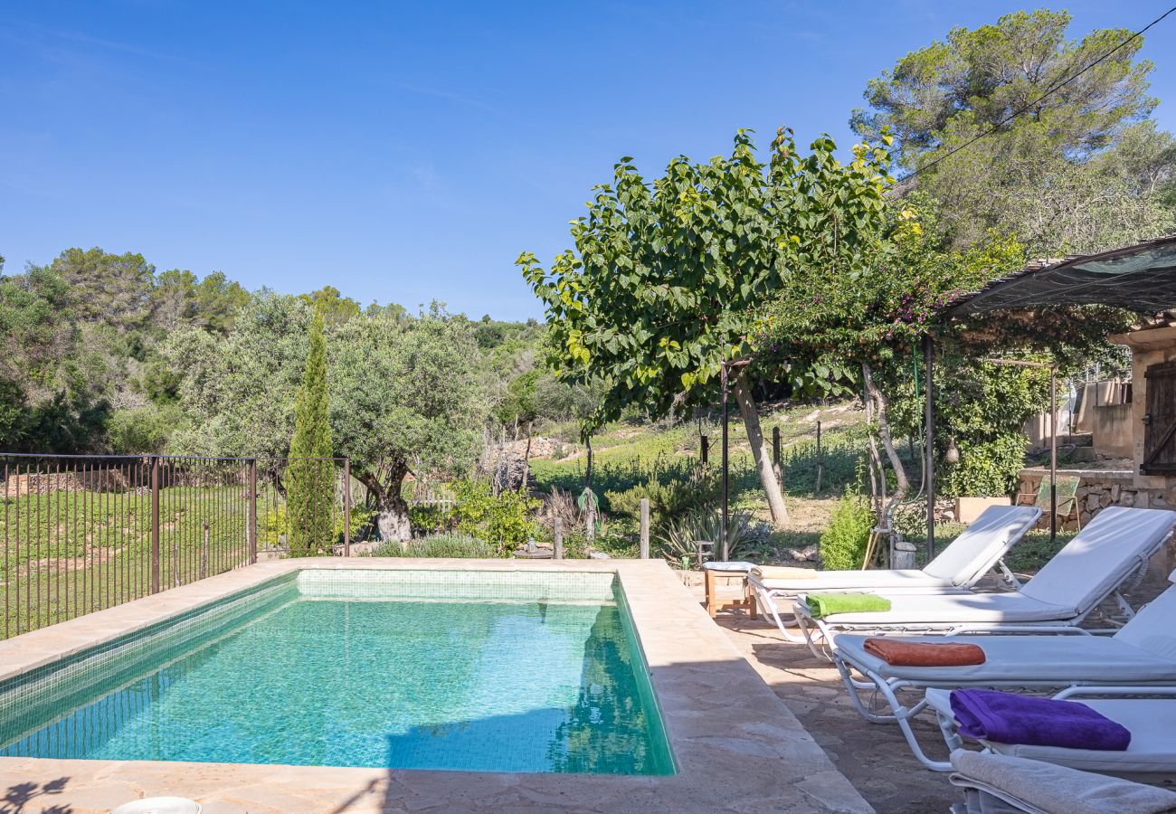 Country house in Petra - A0015 Ca'n Monget