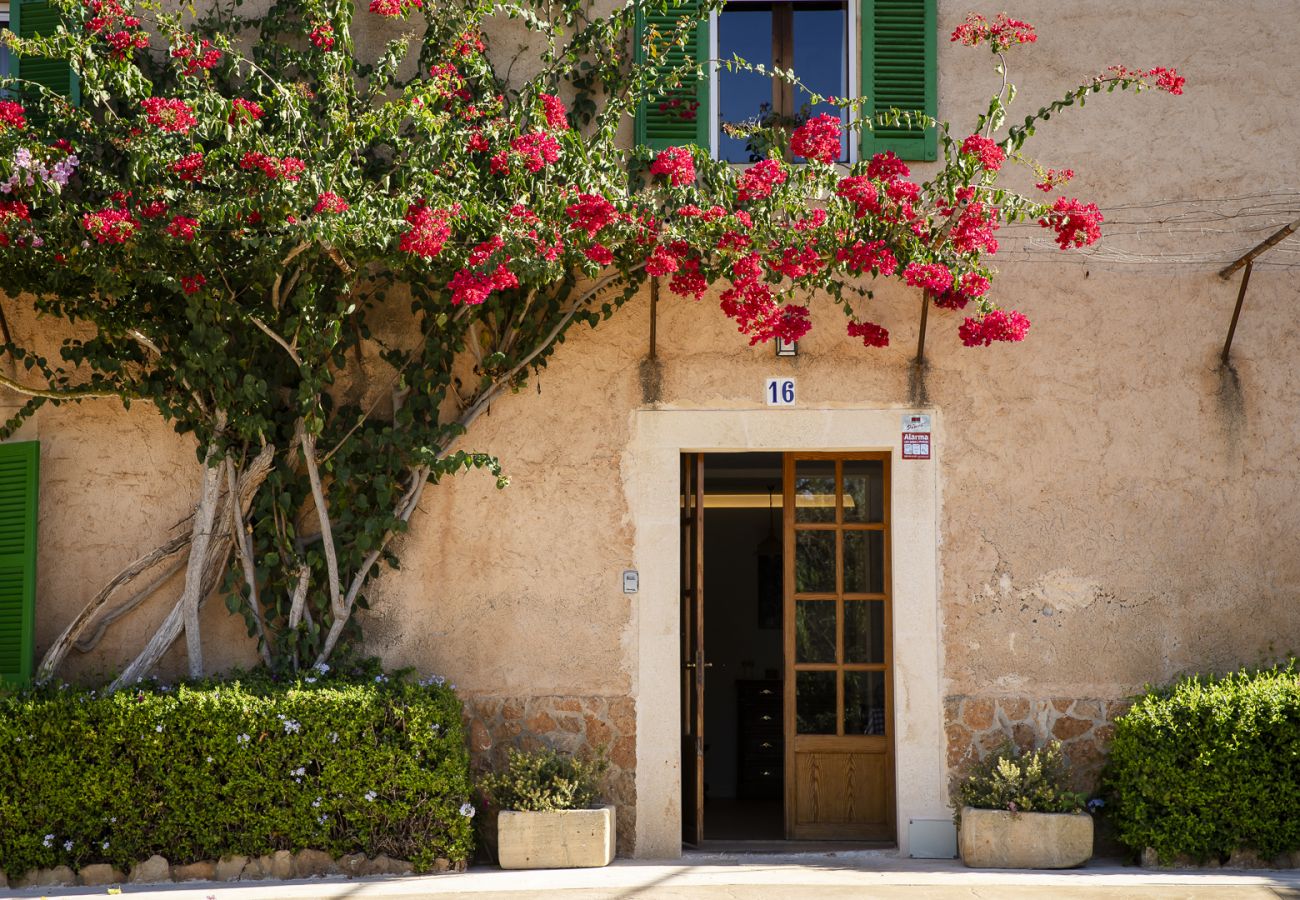 Villa in Felanitx - YourHouse Can Tries