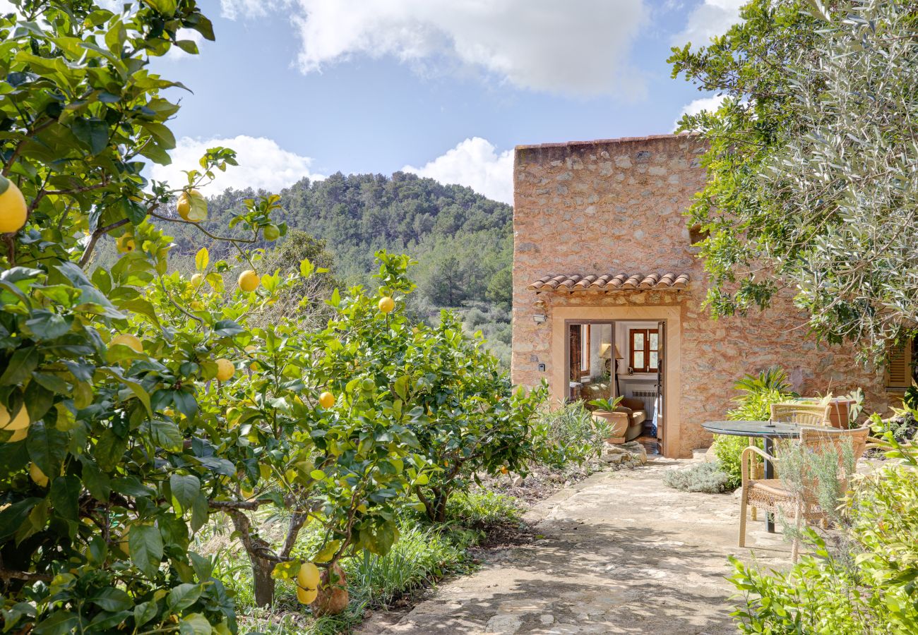 Country house in Son Macià - A0021 Finca sa Font