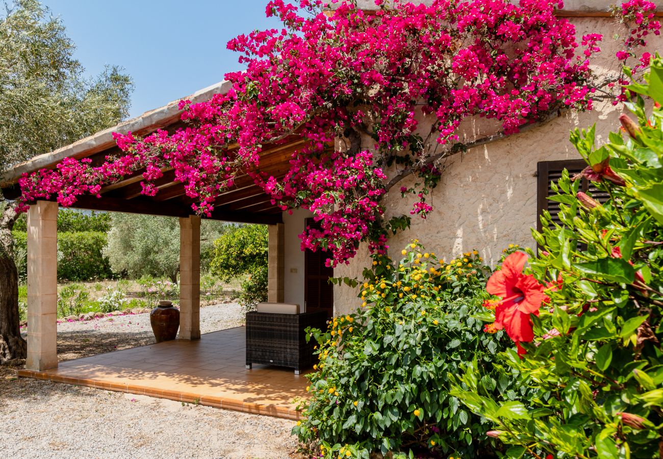 Villa in Pollensa - Villa Ca Na Magdalena By home villas 360