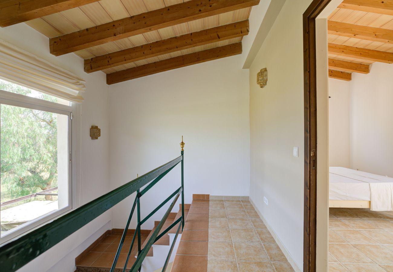 Country house in Can Picafort - A0029 Son Morro