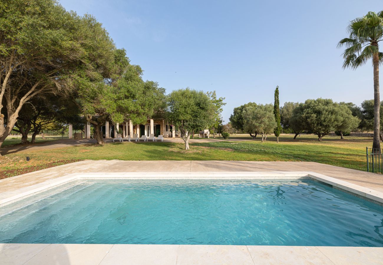 Country house in Can Picafort - A0029 Son Morro