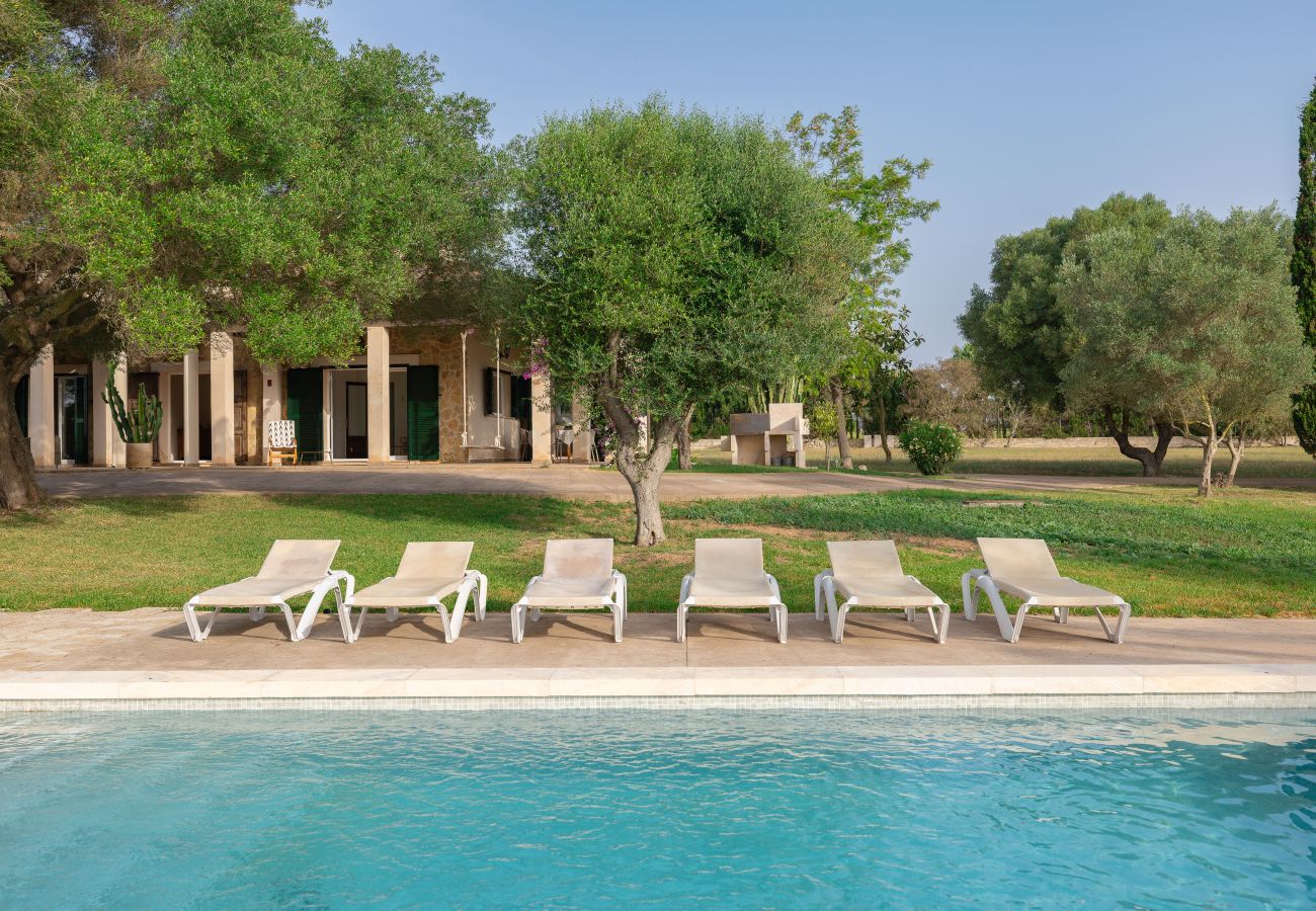 Country house in Can Picafort - A0029 Son Morro