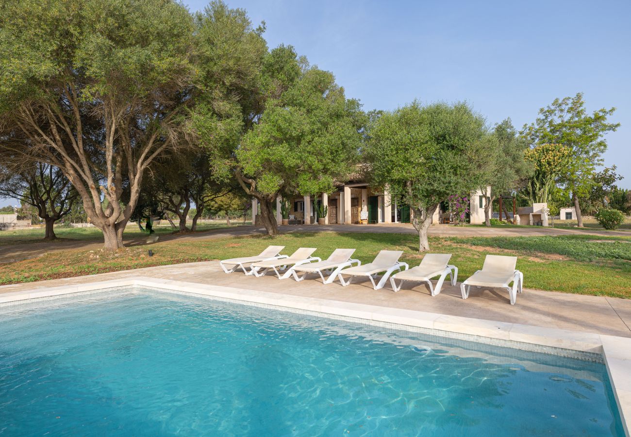 Country house in Can Picafort - A0029 Son Morro