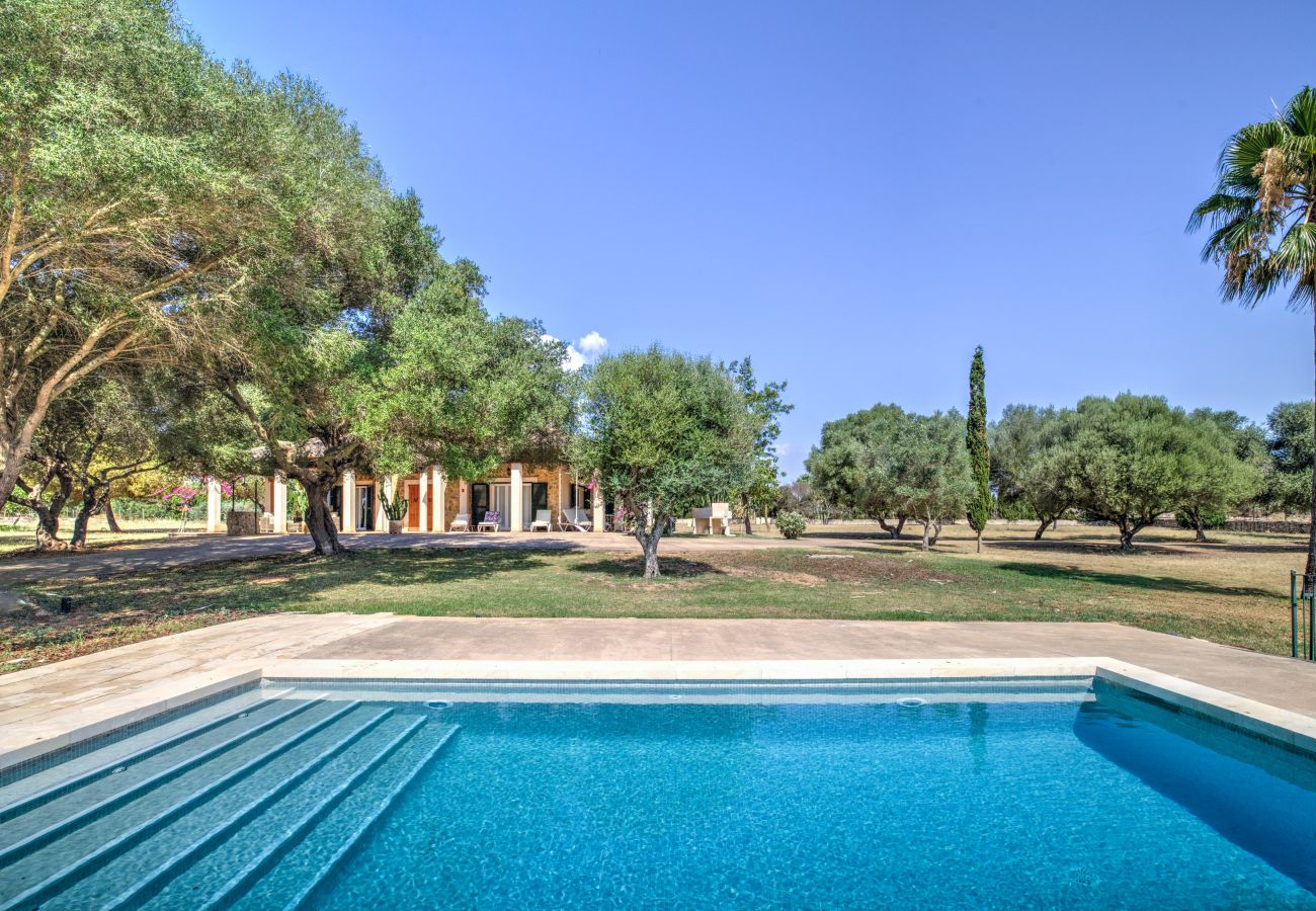 Country house in Can Picafort - A0029 Son Morro
